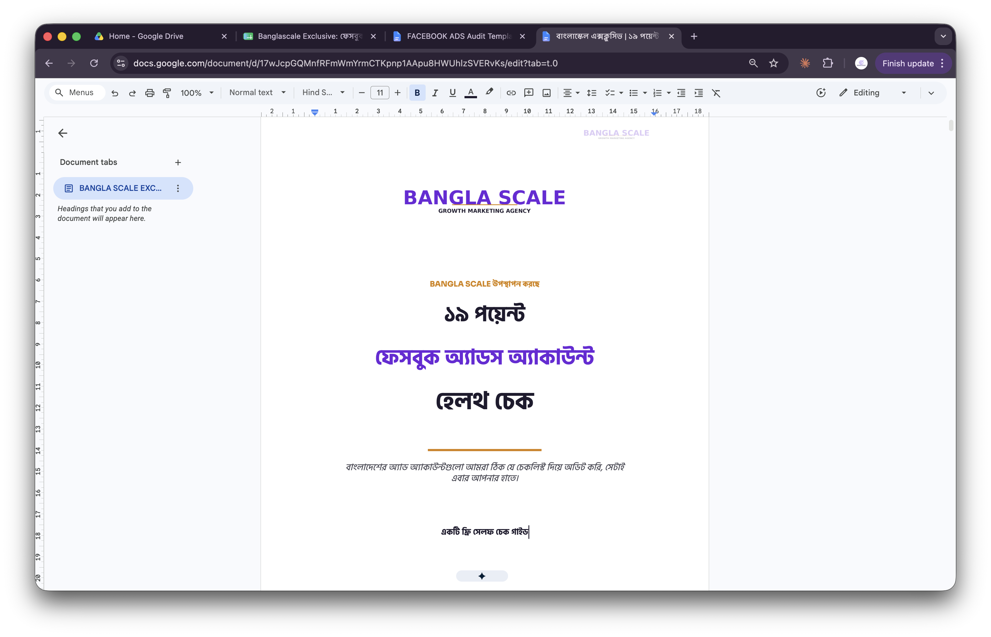 ১৯ পয়েন্ট ফেসবুক অ্যাড হেলথ চেক PDF